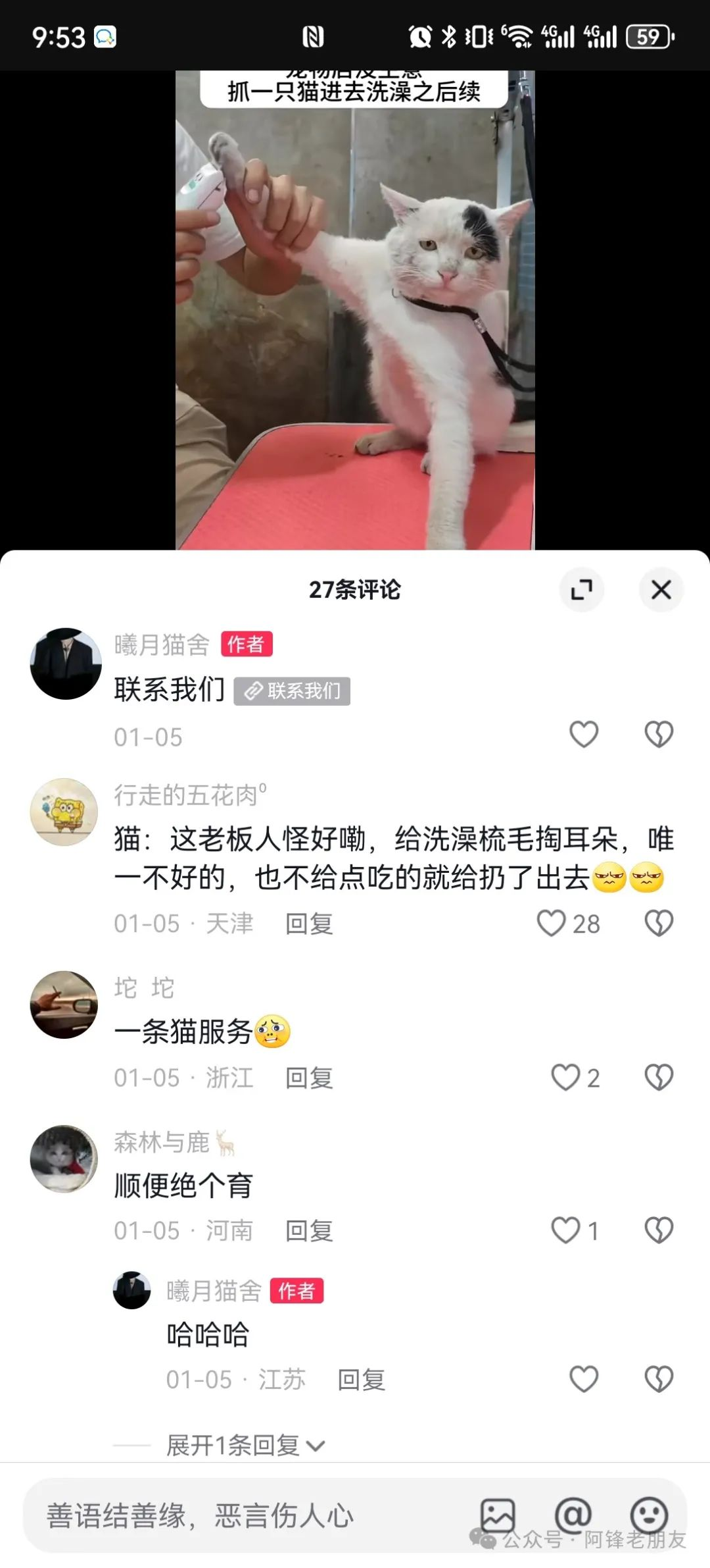 揭秘小猫咪活体抖音打粉项目，高客单价，每单利润 5000+ 认真坚持落地实操 轻松月入过万（篇一）-AI副业网