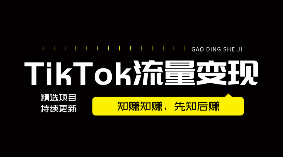 纯干货  号称史上最全TikTok流量变现实操手册,南帆3万字 拆解 Tik Tok流量变现