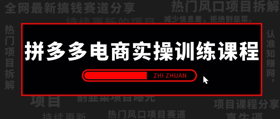 【2024.12.12更新】拼多多电商实操训练课程,从开店到运营全方位指导  系统性课程合集