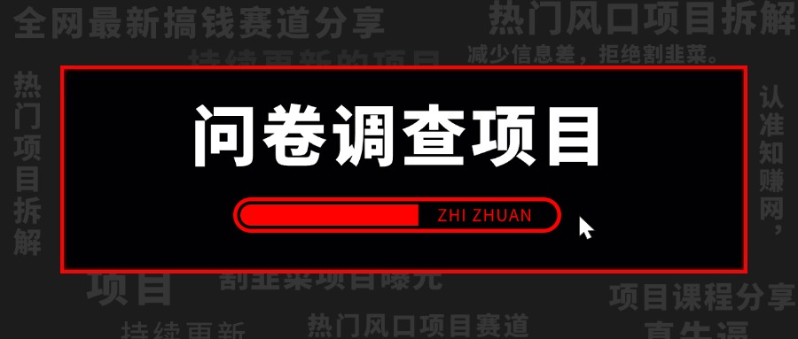 【2024.9.17更新】揭秘最新问卷调查项目,即使在家也可以批量操作 包含各种站点和渠道