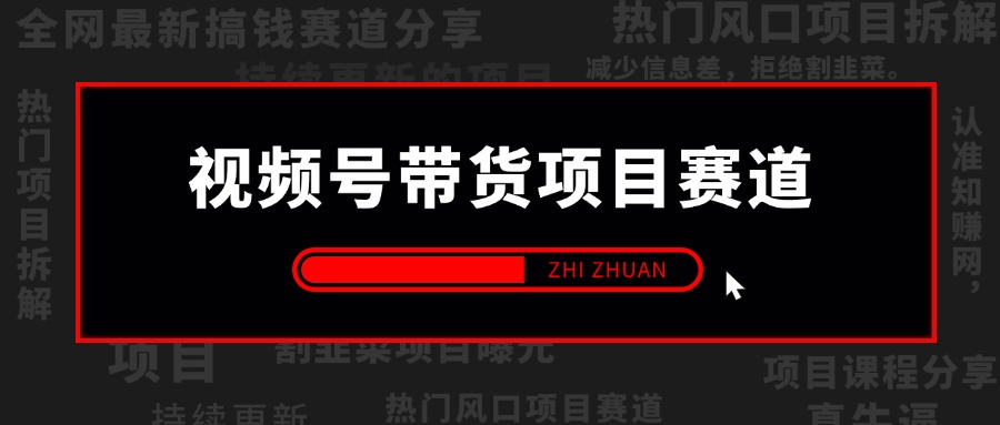 【2024.12.30更新】视频号带货项目赛道，直播/口播/混剪带货+具体赛道案例 全套资料分享