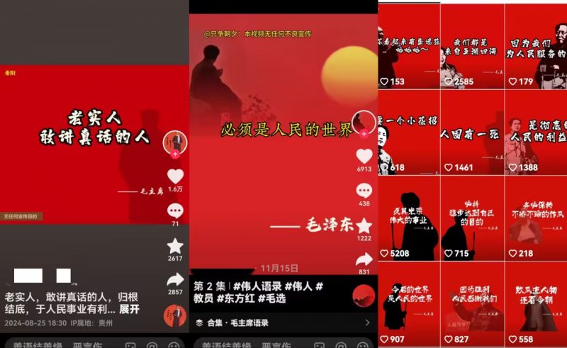 【2025.2.6更新】抖音蓝海小赛道私域变现项目，卖毛选资料，单价9.9/单天变现100+，实操玩法分享给你-AI副业网