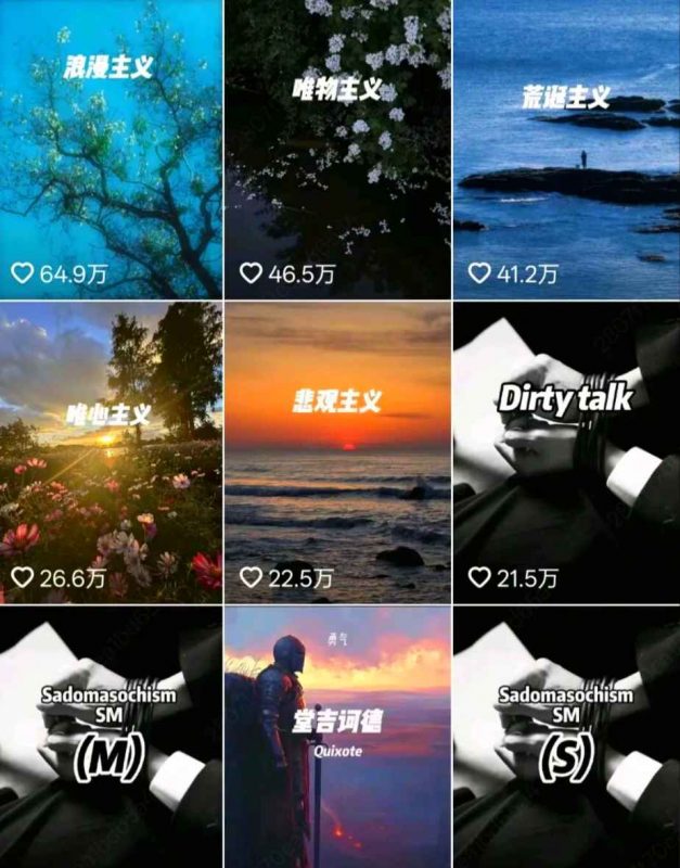 50个作品311万点赞！用扣子1分钟即可生成同款哲学主义赛道视频-AI副业网